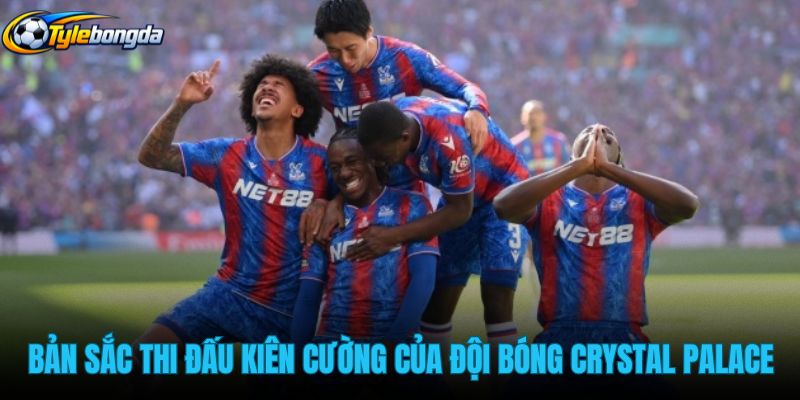ban-sac-thi-dau-kien-cuong-cua-doi-bong-crystal-palace
