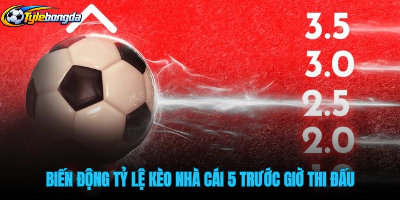 bien-dong-ty-le-keo-nha-cai-5-truoc-gio-thi-dau