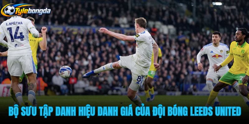 bo-suu-tap-danh-hieu-danh-gia-cua-doi-bong-leeds-united