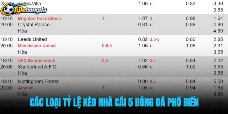 cac-loai-ty-le-keo-nha-cai-5-bong-da-pho-bien