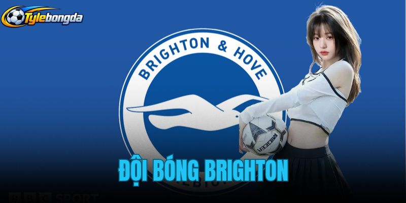 Đội Bóng Brighton