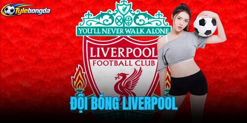 Đội Bóng Liverpool
