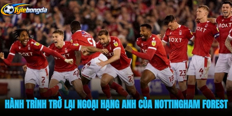 hanh-trinh-tro-lai-ngoai-hang-anh-cua-doi-bong-nottingham-forest hanh-trinh-tro-lai-ngoai-hang-anh-cua-doi-bong-nottingham-forest