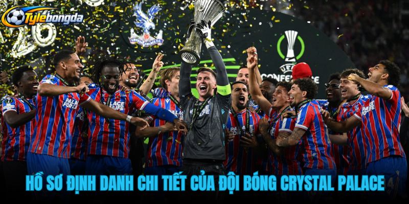 ho-so-dinh-danh-chi-tiet-cua-doi-bong-crystal-palace