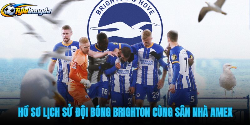 ho-so-lich-su-doi-bong-brighton-cung-san-nha-amex