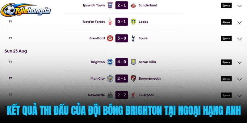 ket-qua-thi-dau-cua-doi-bong-brighton-tai-ngoai-hang-anh