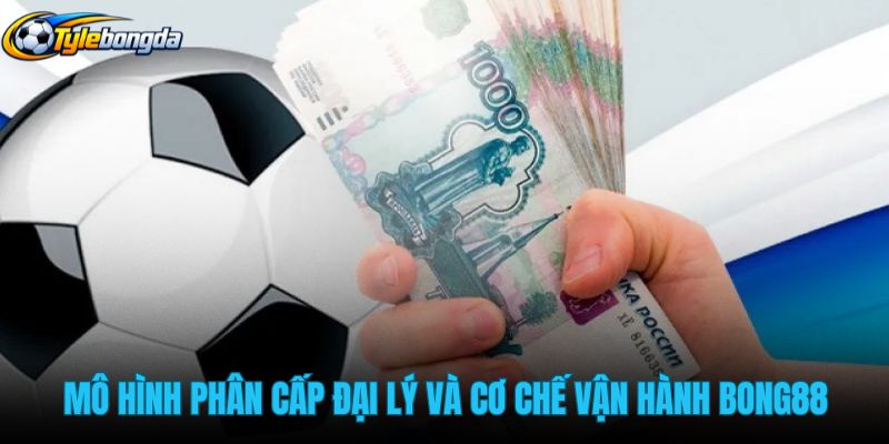 mo-hinh-phan-cap-dai-ly-va-co-che-van-hanh-bong88