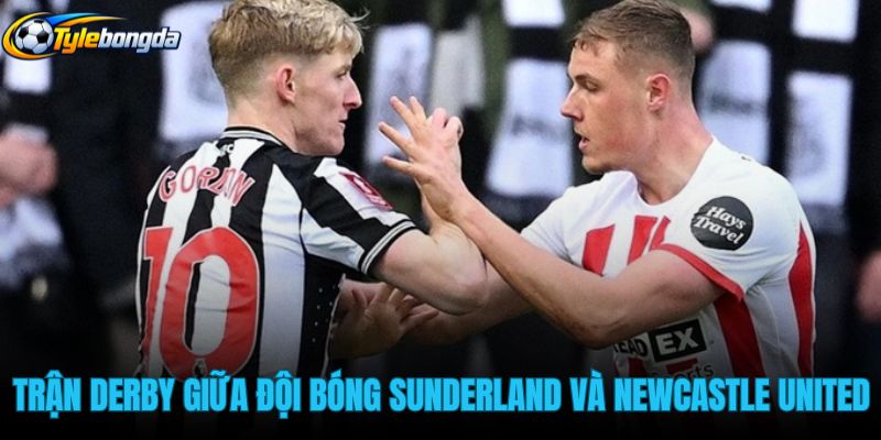 nhung-tran-derby-nay-lua-giua-doi-bong-sunderland-va-newcastle-united nhung-tran-derby-nay-lua-giua-doi-bong-sunderland-va-newcastle-united